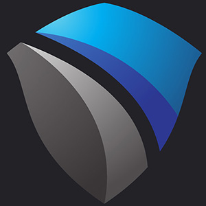 National Insurance Management Agency logo art